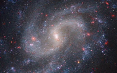 Imagen 4 NGC 5584